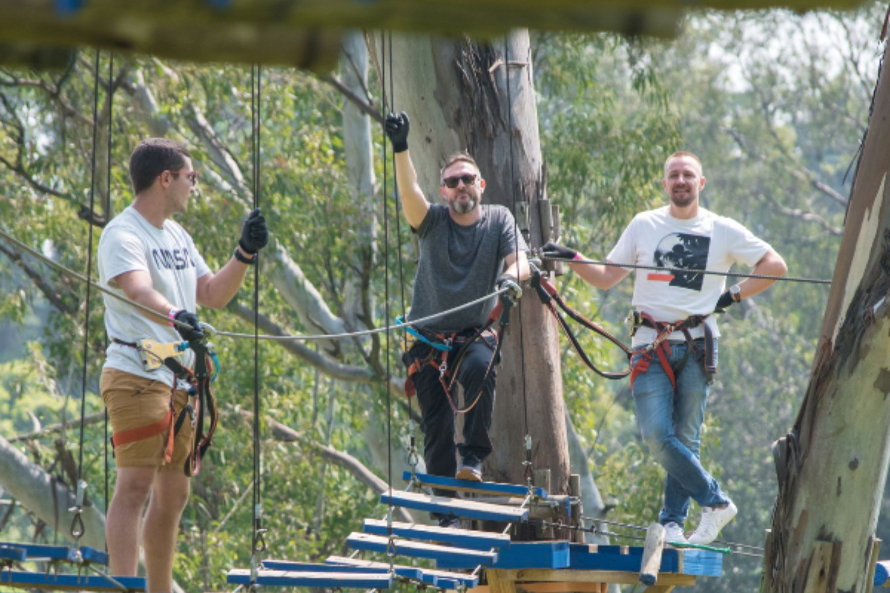 Go on a treetop adventure at Acrobranch Melrose